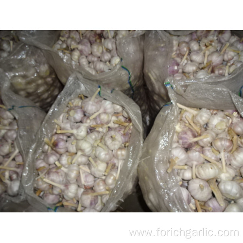 New Crop Fresh Garlic Of Loose Packing